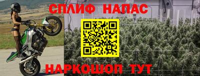 скорость Гай